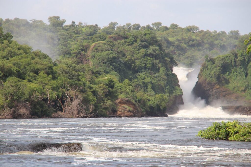 Murchison falls